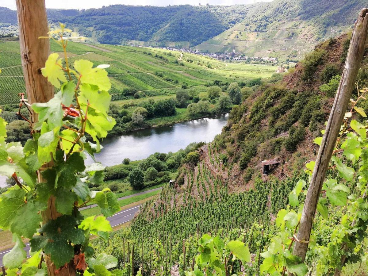 Ferienwohnungen Merl Zell an der Mosel Exteriér fotografie
