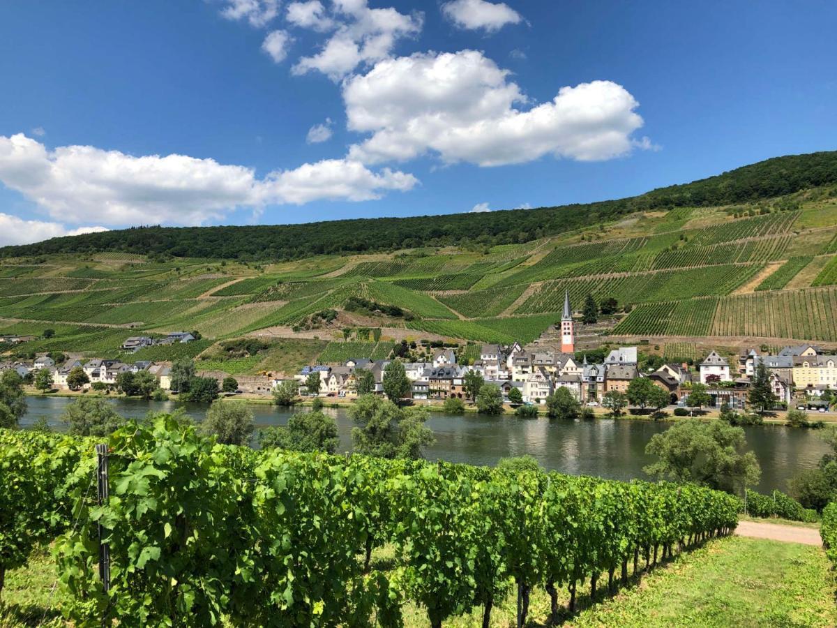 Ferienwohnungen Merl Zell an der Mosel Exteriér fotografie
